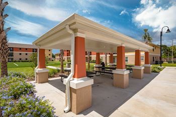 Picnic, bbq and grill area